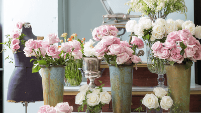 Blossom in Dubai International City: Unveiling the Best Flower Shops