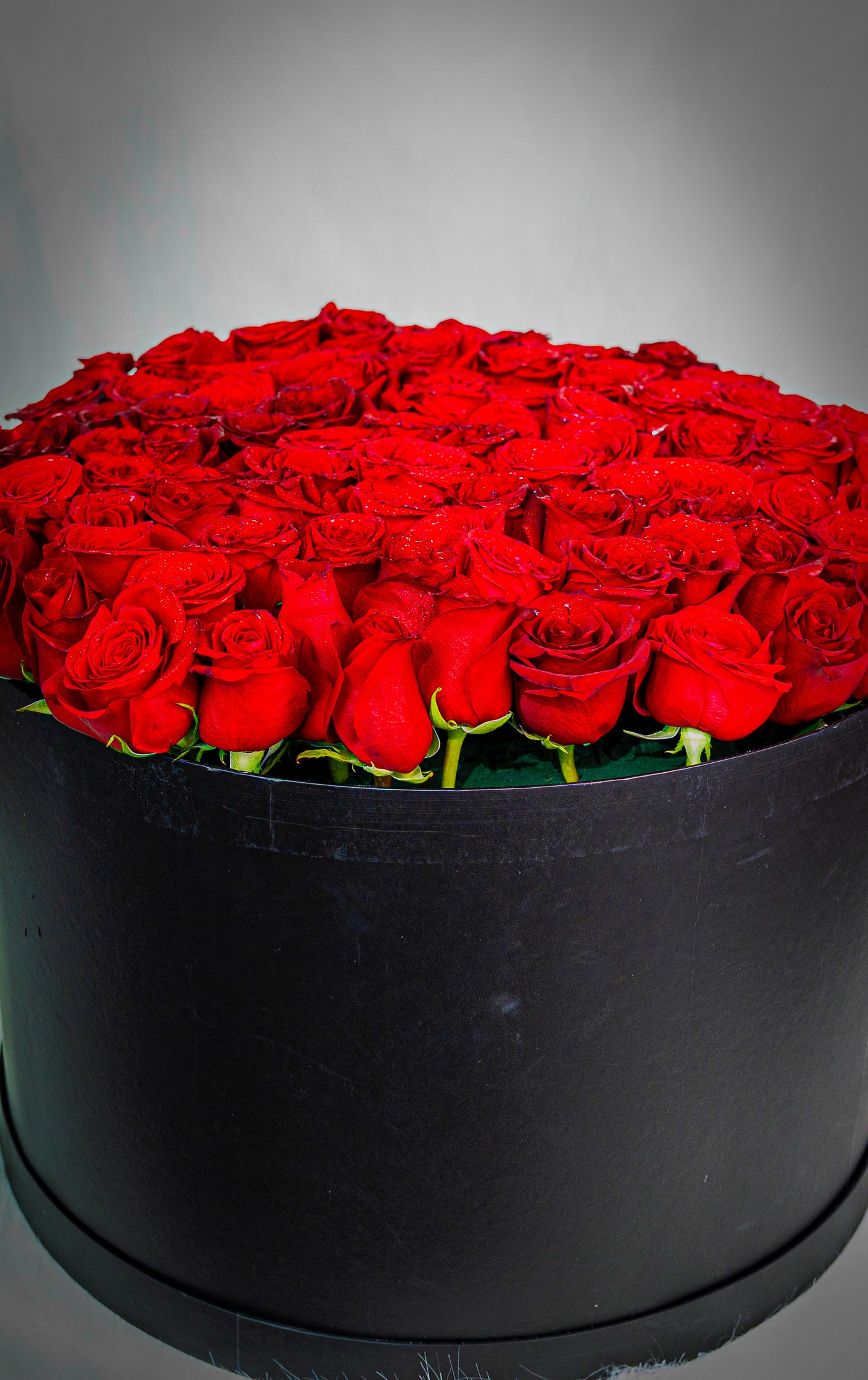 Flowers Abu Dhabi
Fresh Flowers Abu Dhabi
Abu Dhabi Florists
Online Flower Delivery Abu Dhabi
Best Florist in Abu Dhabi