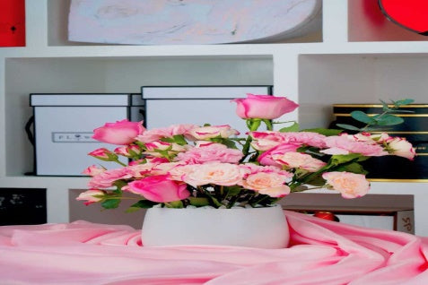 Flowers Abu Dhabi
Fresh Flowers Abu Dhabi
Abu Dhabi Florists
Online Flower Delivery Abu Dhabi
Best Florist in Abu Dhabi
Luxury Flowers Abu Dhabi
Flower Shop Abu Dhabi
Same Day Flower Delivery Abu Dhabi
Flower Arrangements Abu Dhabi
Roses Abu Dhabi