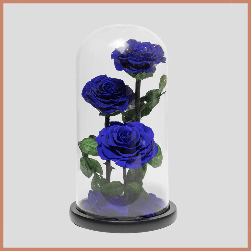 Birthday Cakes Gifts Flowers Bouquets Dubai Abu Dhabi Online Delivery Le Ronza Flowers