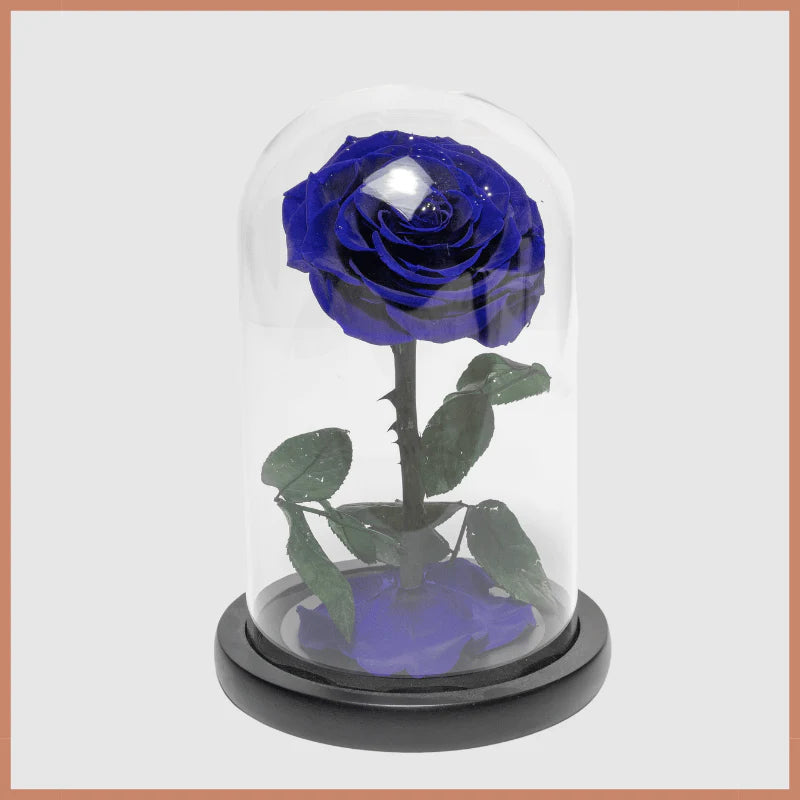 Birthday Cakes Gifts Flowers Bouquets Dubai Abu Dhabi Online Delivery Le Ronza Flowers