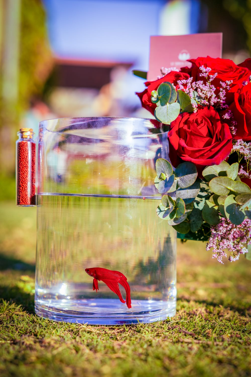 Flowers Abu Dhabi
Fresh Flowers Abu Dhabi
Abu Dhabi Florists
Online Flower Delivery Abu Dhabi
Best Florist in Abu Dhabi
Luxury Flowers Abu Dhabi
Flower Shop Abu Dhabi
Same Day Flower Delivery Abu Dhabi
Flower Arrangements Abu Dhabi
Roses Abu Dhabi
Wedding Flowers Abu Dhabi
Corporate Flowers Abu Dhabi