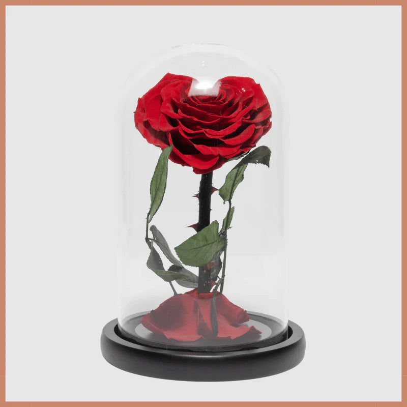 Birthday Cakes Gifts Flowers Bouquets Dubai Abu Dhabi Online Delivery Le Ronza Flowers