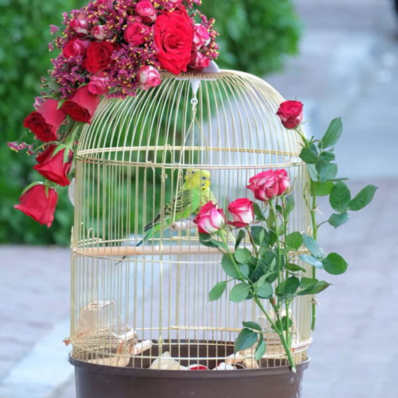 Flowers Rose Birthday cakes, gifts, flowers, bouquets, Dubai, Abu Dhabi, online delivery, Le Ronza Flowers