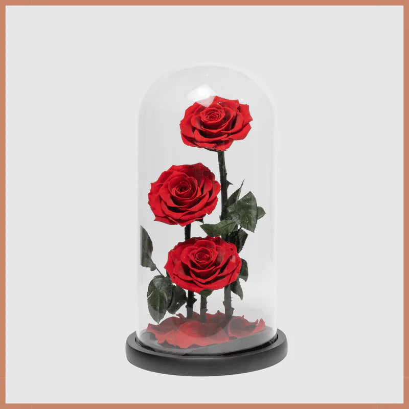 Flowers Rose Birthday cakes, gifts, flowers, bouquets, Dubai, Abu Dhabi, online delivery, Le Ronza Flowers