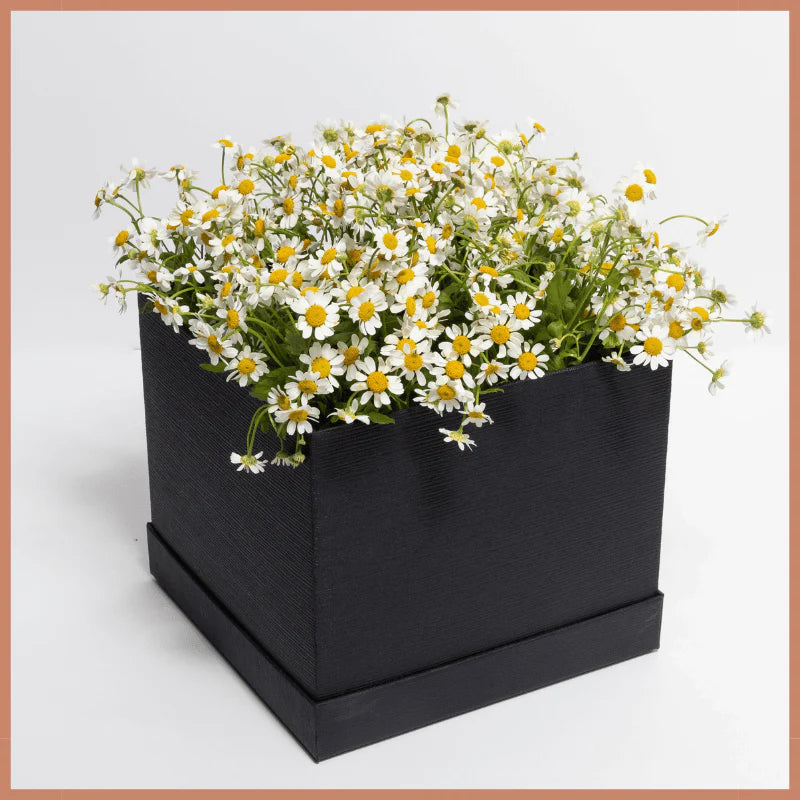 Any Flowers Rose Birthday cakes, gifts, flowers, bouquets, Dubai, Abu Dhabi