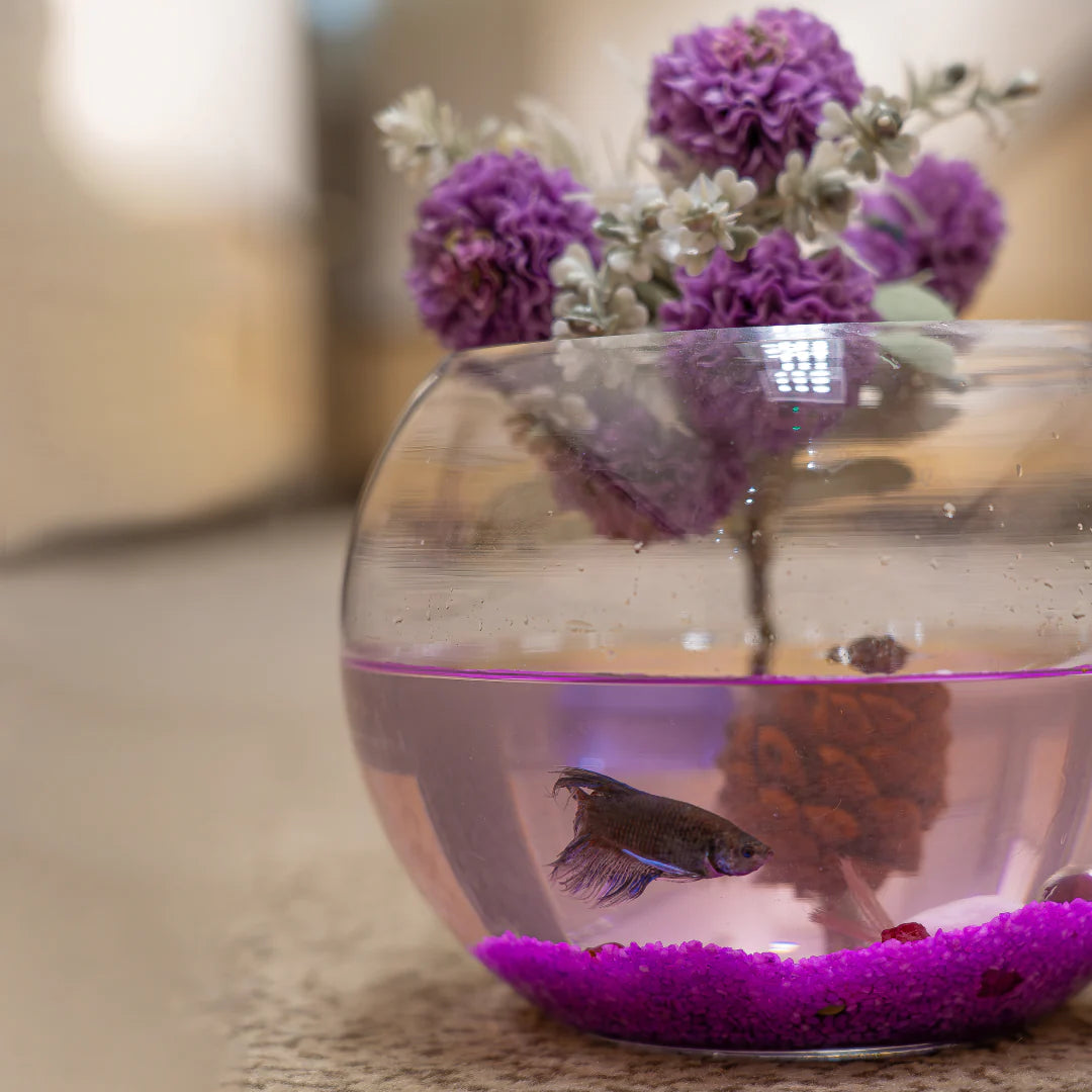 Any Flowers Rose Birthday cakes, gifts, flowers, bouquets, Dubai, Abu Dhabi