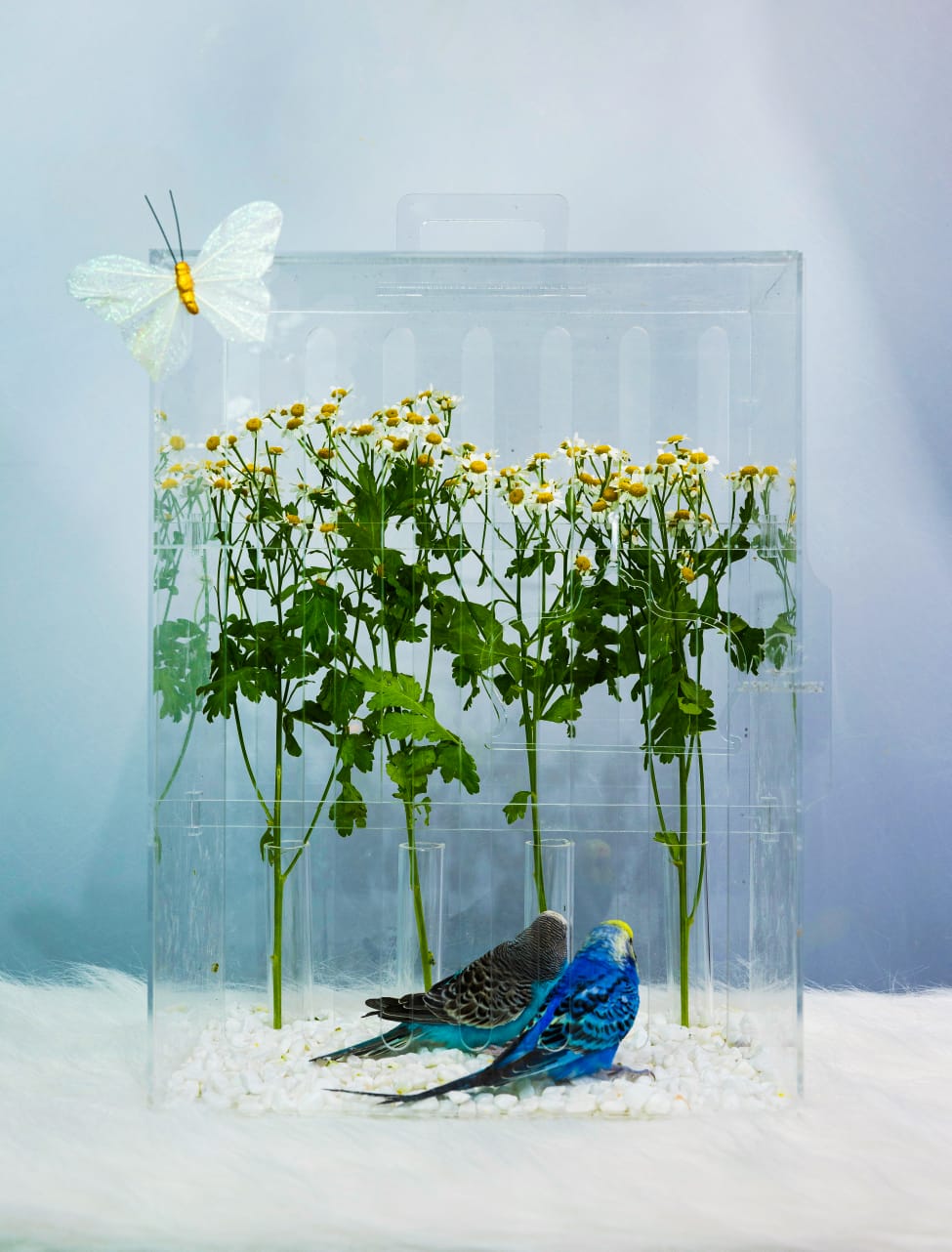 Flowers Abu Dhabi
Fresh Flowers Abu Dhabi
Abu Dhabi Florists
Online Flower Delivery Abu Dhabi
Best Florist in Abu Dhabi
Luxury Flowers Abu Dhabi
Flower Shop Abu Dhabi
Same Day Flower Delivery Abu Dhabi
Flower Arrangements Abu Dhabi
Roses Abu Dhabi
Wedding Flowers Abu Dhabi
Corporate Flowers Abu Dhabi